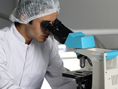 adult-biology-chemical-356040